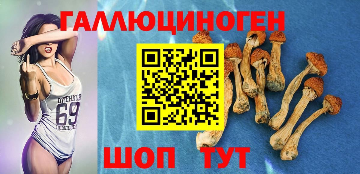 Минусинск  Псилоцибиновые грибы Psilocybine cubensis  Вход с VPN  Псилоцибиновые грибы GOLDEN TEACHER 